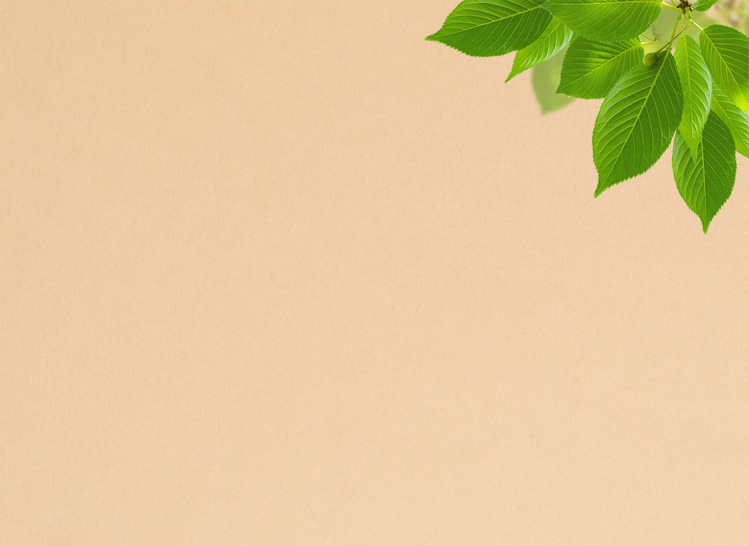 Banner sản phẩm