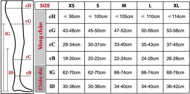 Size của vớ tĩnh mạch Venpoten Stocking